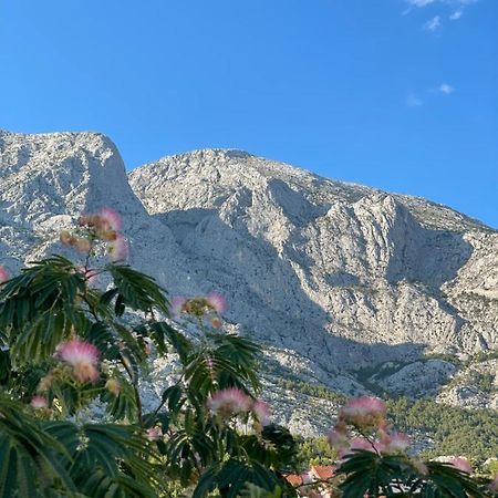 Heaven'S View Apartments Baška Voda Exteriér fotografie