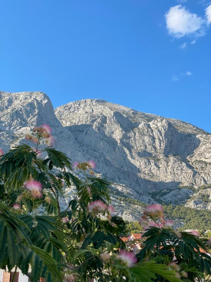 Heaven'S View Apartments Baška Voda Exteriér fotografie