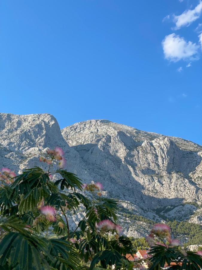 Heaven'S View Apartments Baška Voda Exteriér fotografie