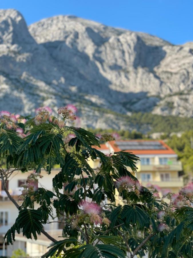 Heaven'S View Apartments Baška Voda Exteriér fotografie